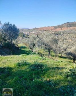 İzmir Selçuk Havutculu Köyü Fırsat Tarla