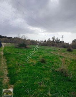 İzmir Selçuk Pamucak Mevkii Satılık Tarla