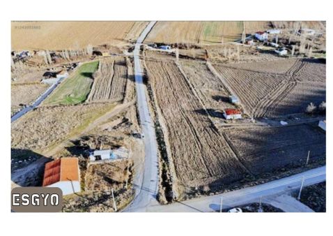 Esgyo'dan Sarısungur'da 300 M2 Konut Alanı Olan Satılık Tarla