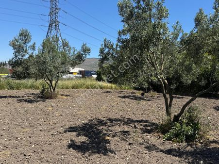 Çanakkale Yoluna Cepheli Yatırımlık Arazi