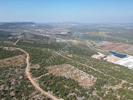 Didim Uygun Fiyatlı Satılık Villa Arsası