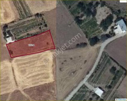 Konya Seydişehir Çavuş Mah. Satılık Sulu Tarla 1225 M2.elektrik Alınabilir.