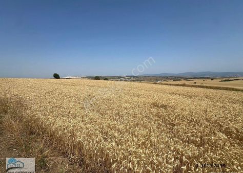 Eral Gayrimenkulden Kirazlıda Satılık Tarla
