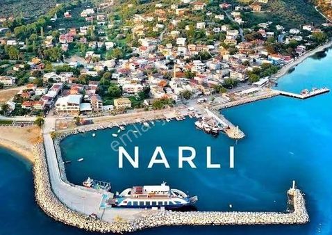 Erdek Narlıda Satılık Mükmmel Konumda İmar Planı İçinde Denize 100 Metre Mesafede Zeytinlik