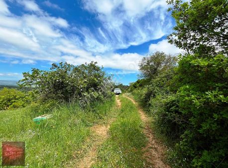 Karacabey Seyran Satılık 1575 Metre Kupon Arazi
