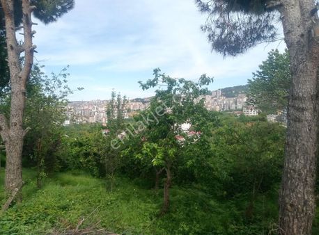 Serkan Emlaktan Karşıyakada Satılık Arsa