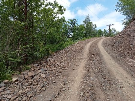Yola 40 Metre Cephe Arazi Fındıklık