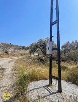 Hayalinizdeki Deniz Manzaralı Zeytinlik