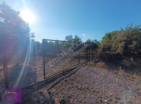 Foça Bucak Mevkii'nde Çok İyi Konumda Kupon Tarla