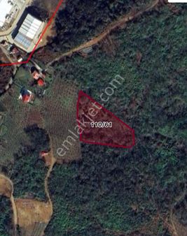 Organize Sanayi Yanı 6 Dönüm Arazi