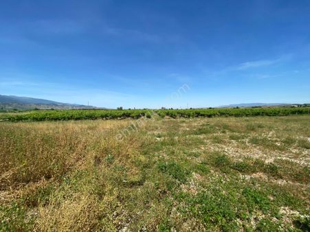 Ada Gayrimenkul'den Kavaklıdere Mah.de 17.921 M² Satılık Bağ