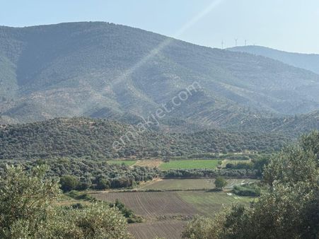 Milas Bafa’da Satılık 5617m2 Tarla