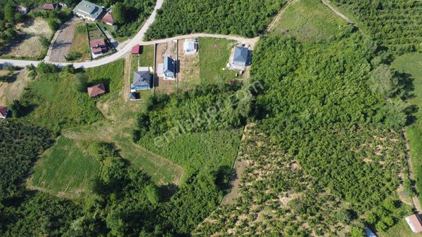 Remax Palas'tan Kaynaşlı Darıyerihasanbey Köyü Satılık Arsa