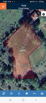 Sinop Gerze Sarnıç Köyünde Atalay Emlak Tan Satılık Tarla