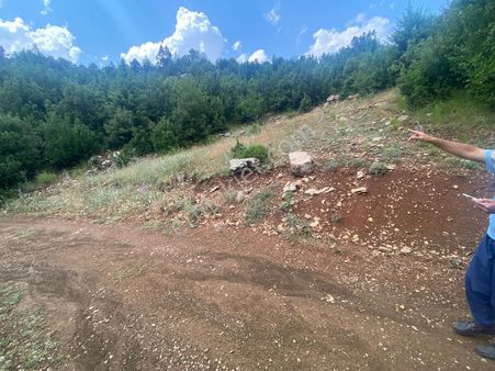 Arve'den Toroslar'da Şehire 1 Saat Uzaklıkta Köyiçi 4.000 Mk Arsa