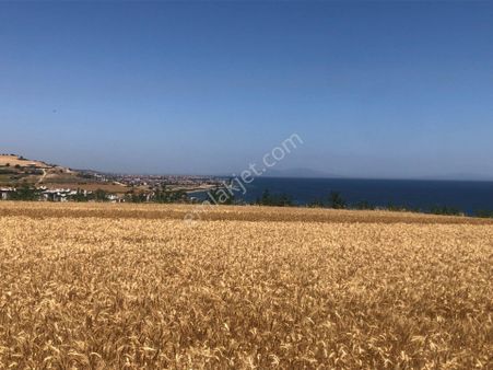 Şarköy De Işık Emlaktan İstiklal Mah De 372 M2 0/25 İmarlı Arsa