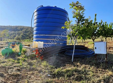 Satılık Ceviz Tarlası Kurulu Hazır Düzen Değerinde Takas Yapılır