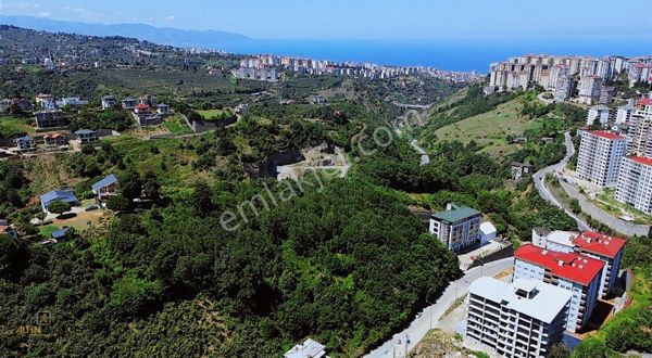 Altın Emlak Trabzonda Satılık Arsa