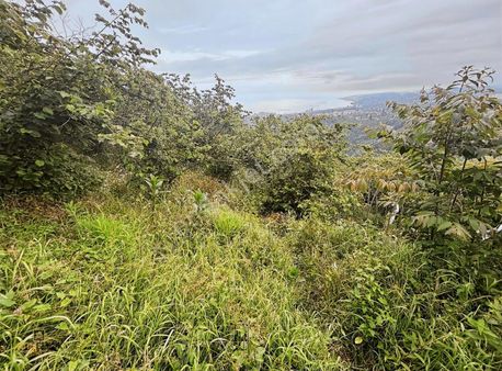 Altın Emlak Trabzon Kavalada Satılık Arazi