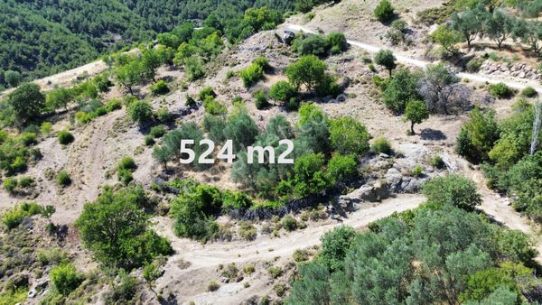 Bergama Çürükbağ Mahallesinde Zeytin, Asma, Badem Ağaçlı Satılık Müstakil Bahçe