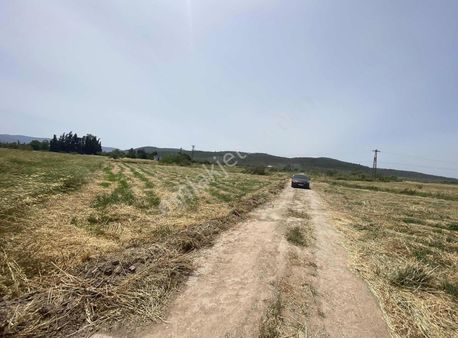 Mumcular Ovada Satılık Kadastral Yollu Tarla