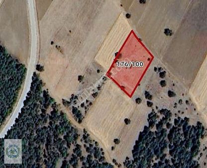 Çardak Hayriye Parsel Yolu Olan Kelepir Tarla! 4.368 M2