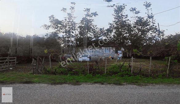 Rw.beta Metin Akgül'den Ovacik'ta Uygun Satilik Findik Bahçesi