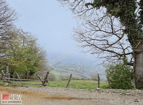 Rw Betadan Sinop Gerzede Satılık Arsa