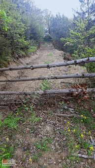 Rw Beta'dan Satılık Akalan Köyün'de Tarla