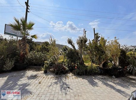 Yalova Tavşanlıda Satılık Deniz Manzaralı Köşe Parsel