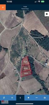 Rw.beta T/ö Den Kurugökçede Satılık Tarla+fındık Bahçesi