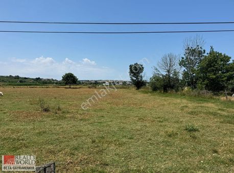 Rw Beta'dan 19 Mayıs Tokilere Cephe 3600m2 Fırsat Arsa