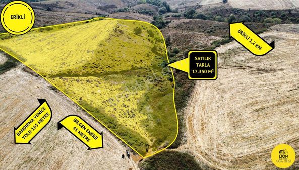 🟡⚫bandırma Erikli Mahallesinde Harika Konumda Yatırımlık Harika Fırsat Arazi Lion Emlak'tan⚫🟡