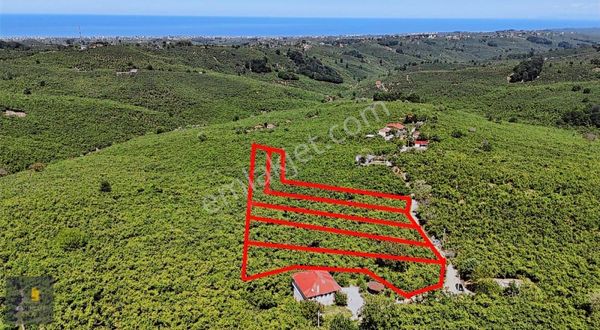 Selahiye'de Deniz Manzaralı Müstakil 400 M² Parseller