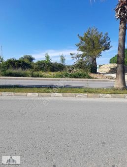 Berekette Koye Yola Yakın Tarla