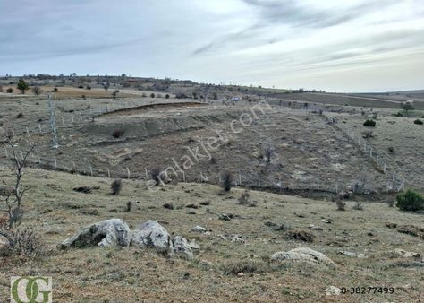 Osman Gülcan'dan Kapaklı'da Tek Tapu Telle Çevrili Bahçelik Tarl