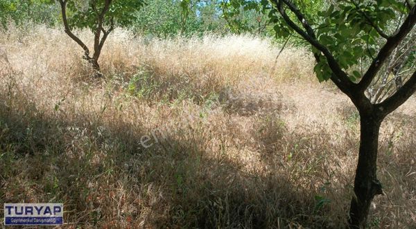 Aşağıokçular'da Satılık Parsel
