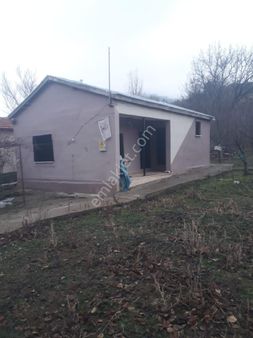 Konya,ılgın,gökçeyurt,özlem,müstakil,meyve,bahçeli,orman,yanı,yolu,olan, Dere,yanı,şahsınıza,münasır