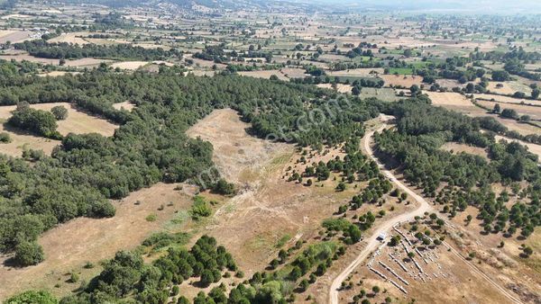 Çanakkale Yenice'de Otoyol Bağlantısına Yakın Yatırımlık Fırsat!
