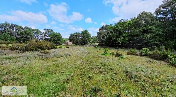 Gebze Cumaköy Villa Sitelerine Komşu 769 M2 Doğanın İçinde Huzur