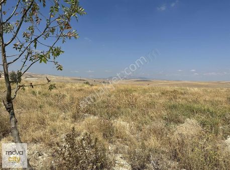 Organize Sanayi Yanı Acil Satılık Tek Tapu 8 Dönüm Tarla