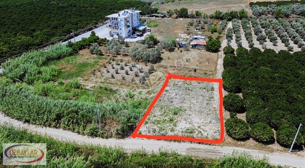 Antalya Manavgat Taşağılda Satılık Anayola Yakın Tarla