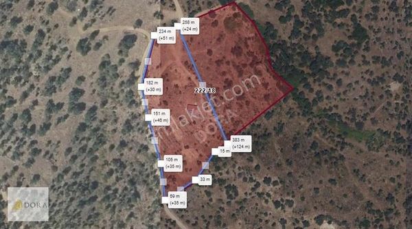Seferihisar Orhanlı Köyünde 8.099 Metrekare Zeytin Ağaçlı Tarla