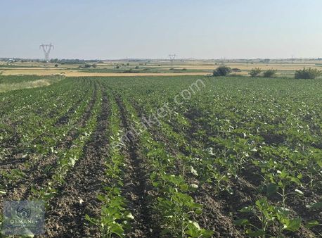 Osmanlı Emlaktan Saray Yenide Kupon Tek Tapu Tarla