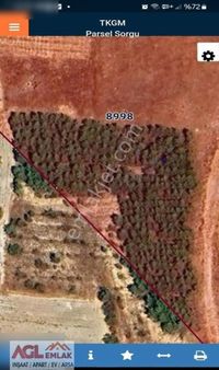 Çivril Özdemircide Tarla İçinde 600çam 30 Ceviz Agacı Satılık