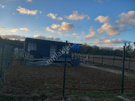 Zaferyapıgayrimenkulden Satılık 230m2 Arsa İçinde Konteyner Ev Mecut İstanbul Çatalca Çiftlikköyde