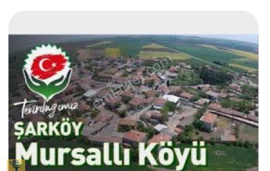 Tekirdağ Şarköy İlçesi Mursallı Mahallesinde 3.922.29 Metrekare Satılık Tarla