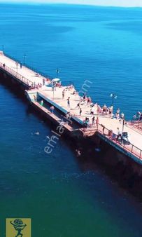 Tekirdağ Şarköy İlçesi Mürefte Mahallesinde 2.604.41 Metrekare Satılık Bağ Yeri