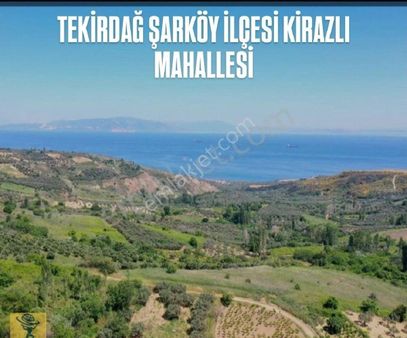Tekirdağ Şarköy İlçesi Kirazlı Mahallesinde 1.671.27 Metrekare Satılık Tarla