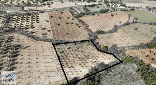 Kilis Merkez Topdağı Tapulu Satılık 3.660 M2 Uygun Arazi